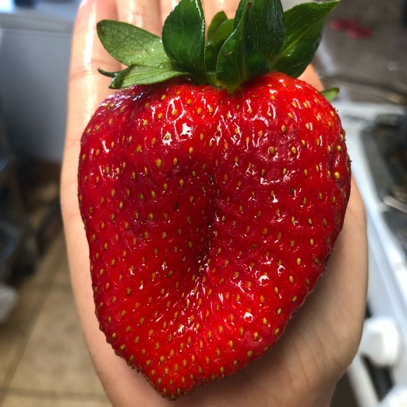 Meet your Posher, Thu - Picture 1 of 1